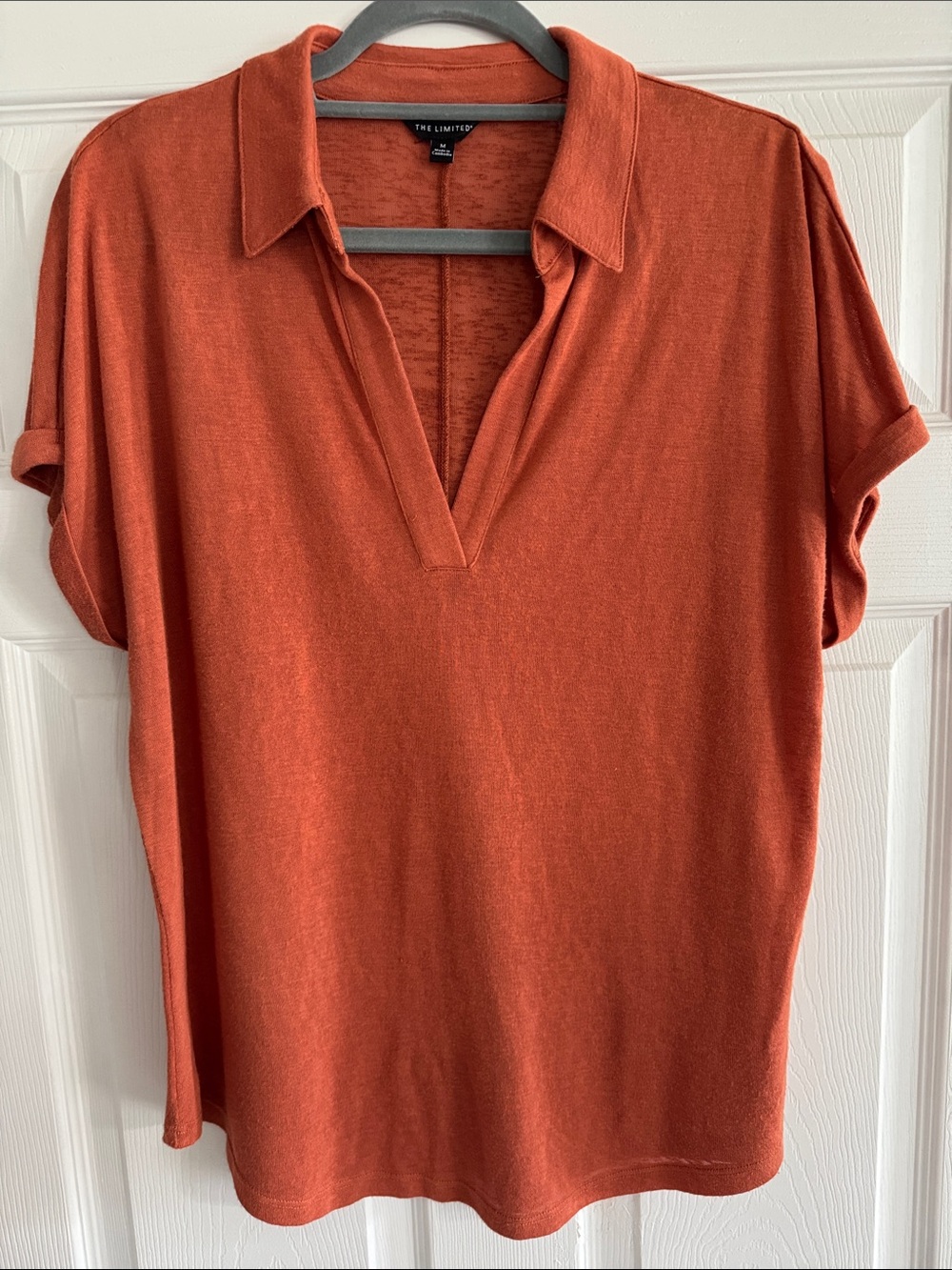 The Limited Rust Orange V-Neck Tunic